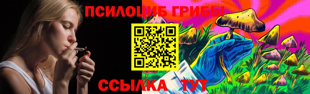 Озёрск  Галлюциногенные грибы прущие грибы  Вход с VPN 